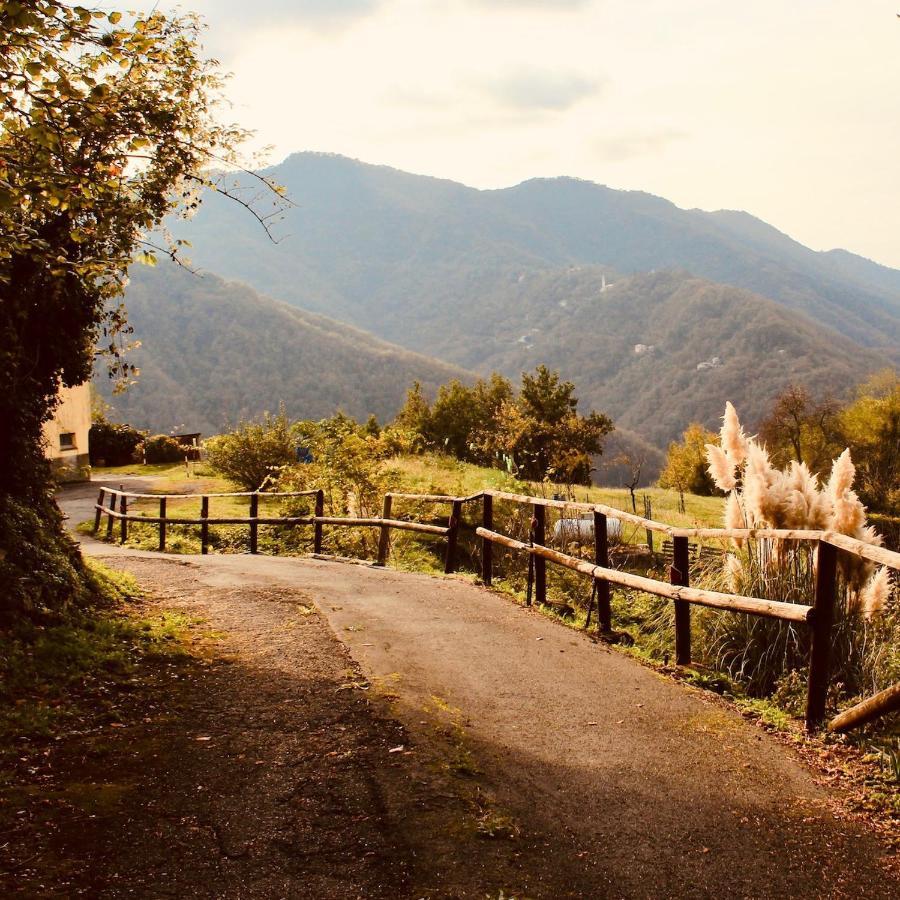 Locanda Del Sale Affittacamere Soglio  Exteriér fotografie
