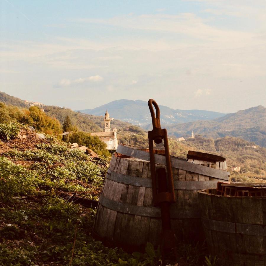 Locanda Del Sale Affittacamere Soglio  Exteriér fotografie