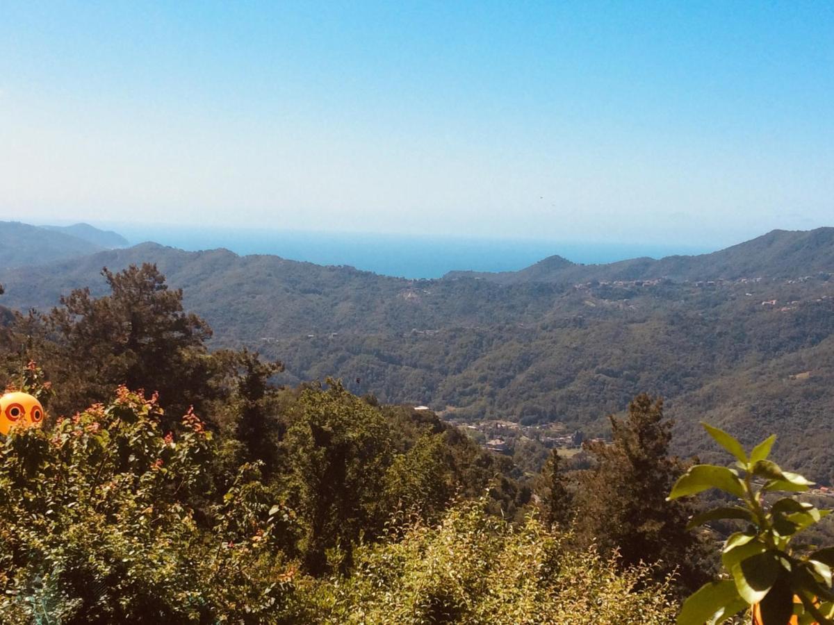 Locanda Del Sale Affittacamere Soglio  Exteriér fotografie